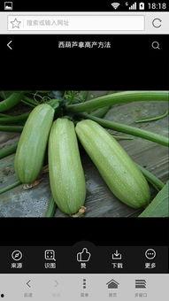 娱乐吃瓜资料来源于什么,揭秘娱乐圈吃瓜资料的来源与传播