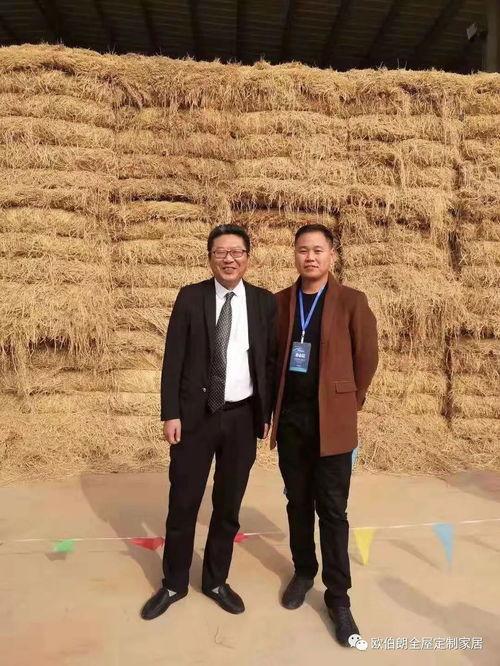 吃瓜论坛,网络舆论场上的“瓜田”风云